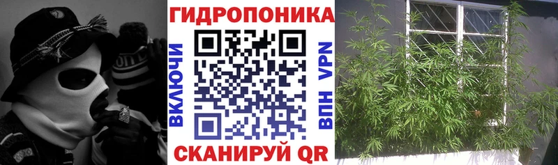 Каннабис сатива  Североуральск 